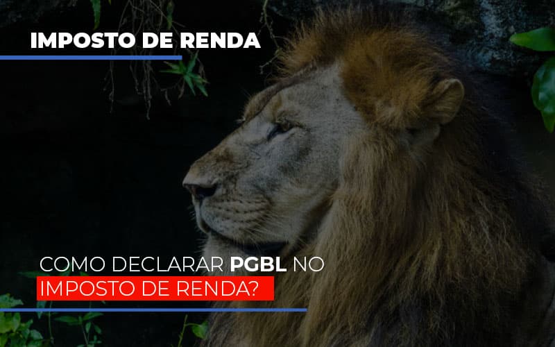 Ir2020:como Declarar Pgbl No Imposto De Renda - Contabilidade em Alphaville | Porsani Consultoria e Assessoria Contábil