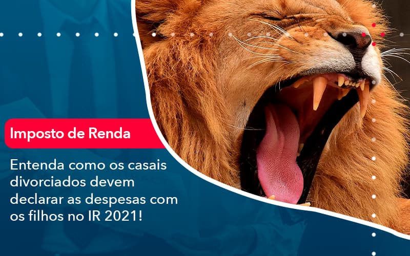 Entenda Como Os Casais Divorciados Devem Declarar As Despesas Com Os Filhos No Ir 2021 1 Contabilidade Em Alphaville | Porsani Contabilidade - Contabilidade em Alphaville | Porsani Consultoria e Assessoria Contábil