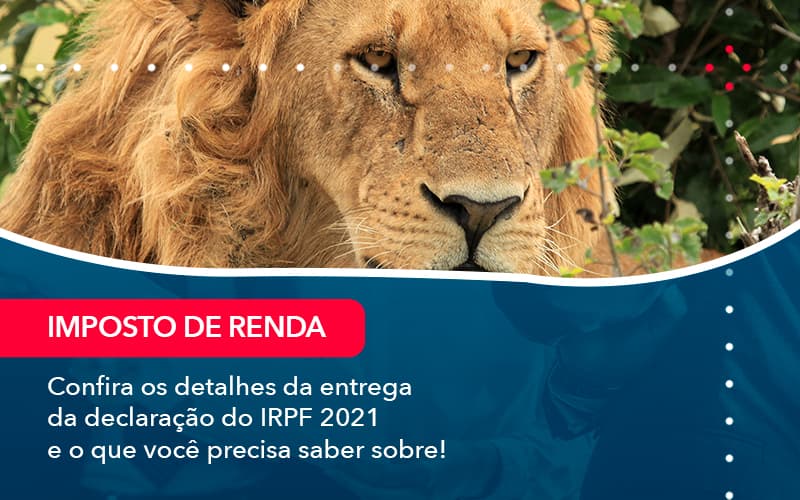 Confira Os Detalhes Da Entrega Da Declaracao Do Irpf 2021 E O Que Voce Precisa Saber Sobre 1 Contabilidade Em Alphaville | Porsani Contabilidade - Contabilidade em Alphaville | Porsani Consultoria e Assessoria Contábil