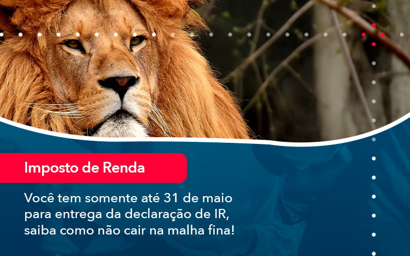 Voce Tem Somente Ate 31 De Maio Para Entrega Da Declaracao De Ir Saiba Como Nao Cair Na Malha Fina 1 Contabilidade Em Alphaville | Porsani Contabilidade - Contabilidade em Alphaville | Porsani Consultoria e Assessoria Contábil